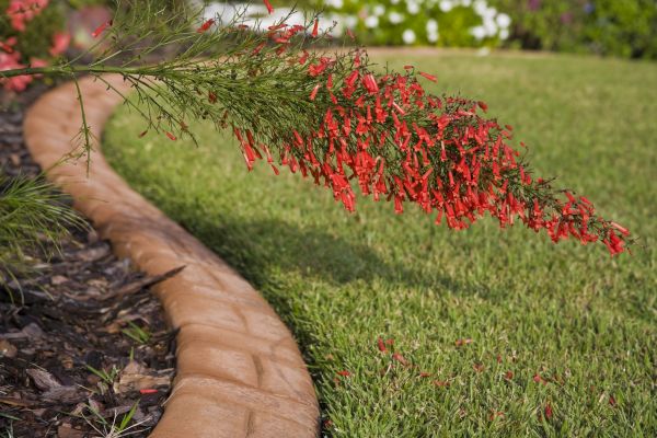 Brick Edging in Redding