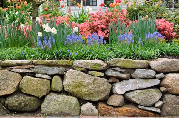 Stone Wall Hardscaping in Redding